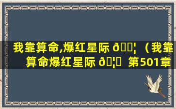 我靠算命,爆红星际 🐦 （我靠算命爆红星际 🦆  第501章）